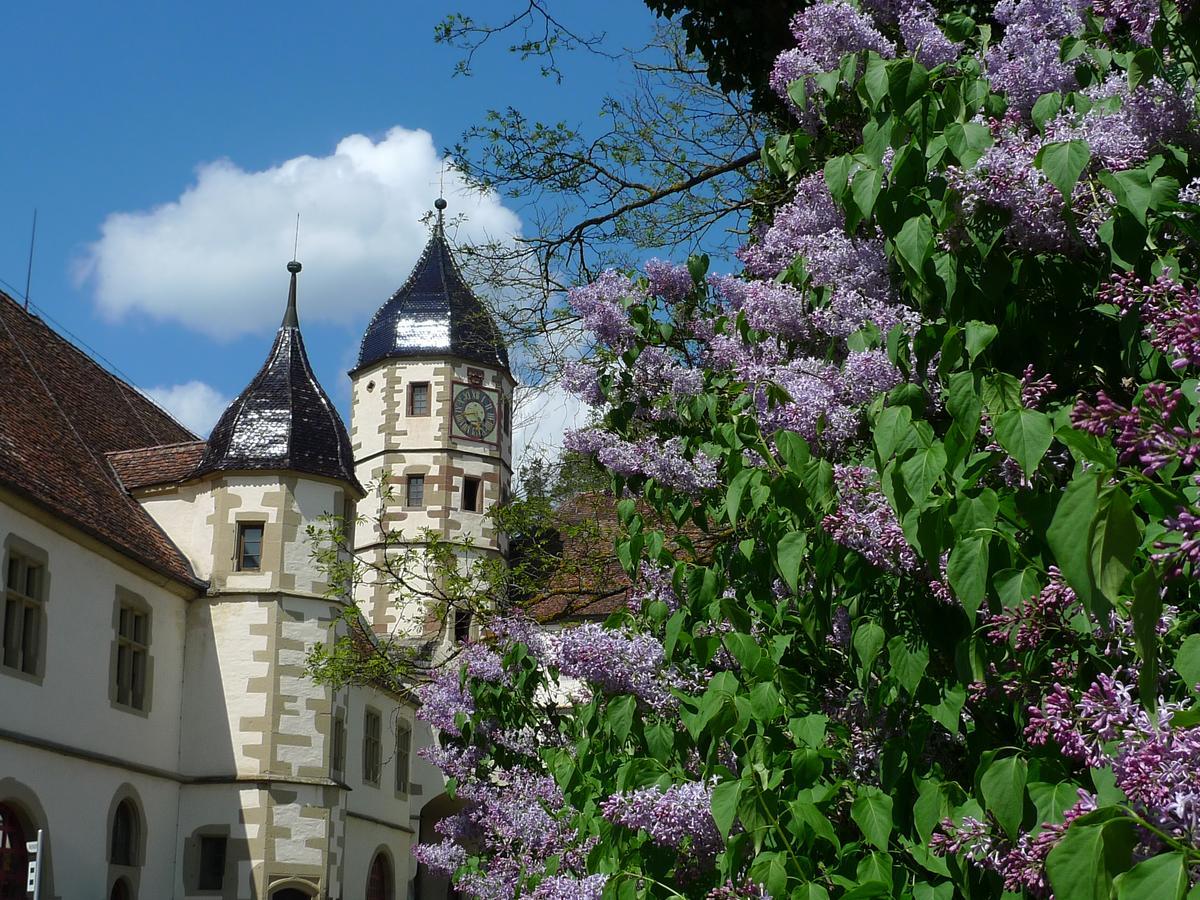 Schloss Haigerloch Buitenkant foto
